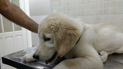 VetPetS Clínica Veterinária em Rio de Janeiro - RJ