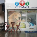 Imagem ilustrativa da empresa Vetsmart - Veterinária em Brasília - DF