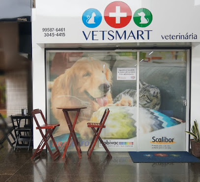 Imagem ilustrativa da empresa Vetsmart - Veterinária em Brasília - DF