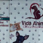 Imagem ilustrativa da empresa Vida Animal Clínica Veterinária em Manaus - AM
