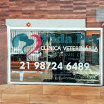 Imagem ilustrativa da empresa Vida Pet Clínica Veterinária em São Gonçalo - RJ