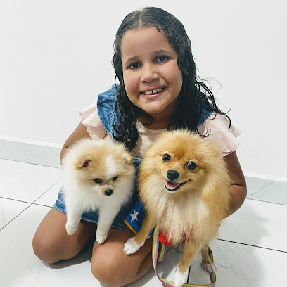 Imagem ilustrativa da empresa Vila Animal Clínica Veterinária 24 horas em João Pessoa - PB