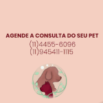 Imagem ilustrativa da empresa Vivere - Centro Médico Veterinário em Santo André - SP