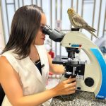 Imagem ilustrativa da empresa Yannara Freitas Análises Clínicas Veterinária em Natal - RN