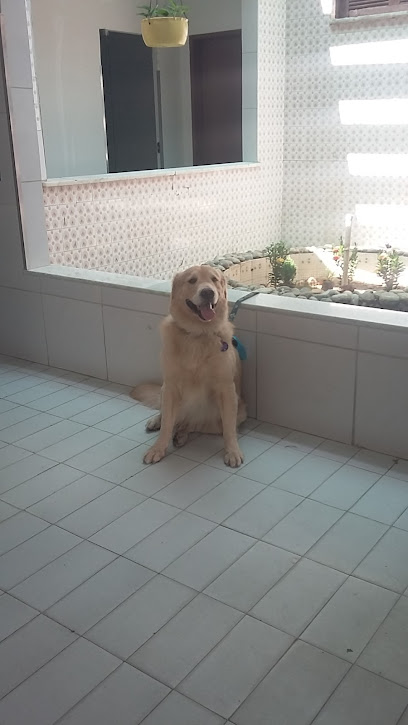 Alternativa Clínica Veterinária em Fortaleza - CE