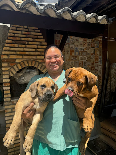 Alyson Mykael Veterinário: Atendimento Veterinário a Domicílio 24horas em Fortaleza - CE