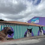 Imagem ilustrativa da empresa Ami Gold Pets - Clínica Veterinária e Pet Shop em Belo Horizonte - MG