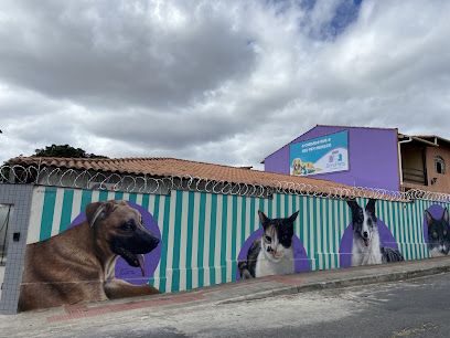 Imagem ilustrativa da empresa Ami Gold Pets - Clínica Veterinária e Pet Shop em Belo Horizonte - MG