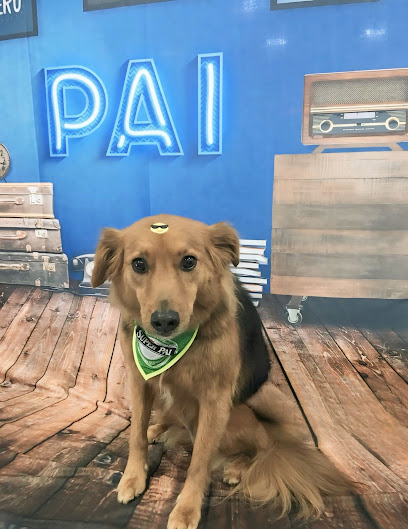 Imagem ilustrativa da empresa Amity Pet - Veterinário em São Bernardo do Campo - SP