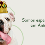 Imagem ilustrativa da empresa Animais Clínica Veterinária em Ribeirão Preto - SP