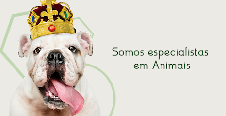 Animais Clínica Veterinária em Ribeirão Preto - SP