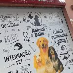 Imagem ilustrativa da empresa Animal Bello Clínica Veterinária 24Horas em São Paulo - SP