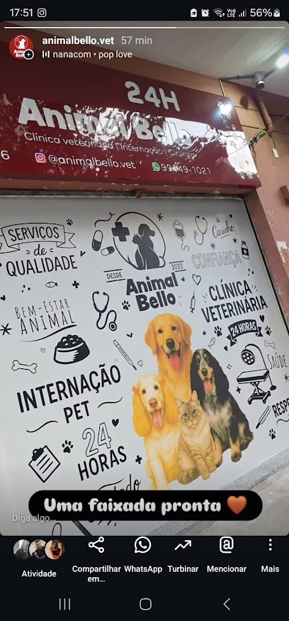 Animal Bello Clínica Veterinária 24Horas em São Paulo - SP