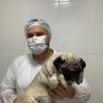Imagem ilustrativa da empresa Animal Doctor's - Clínica Veterinária em Sorocaba - SP