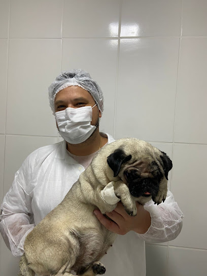 Animal Doctor's - Clínica Veterinária em Sorocaba - SP