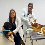 Imagem ilustrativa da empresa Animalclinic - Clínica Veterinária e Estética Animal em Salvador - BA