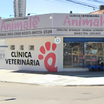 Imagem ilustrativa da empresa Animale Clínica Veterinária em Goiânia - GO