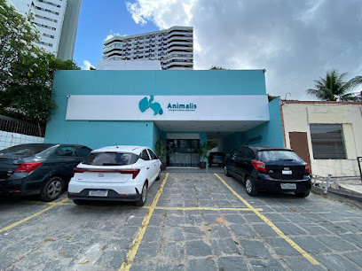 Animalis - Cirurgia e Clínica Veterinária - Recife em Recife - PE