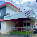 Imagem ilustrativa da empresa Animal's Care 24h- Veterinária e pet shop em São Luís - MA