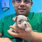 Imagem ilustrativa da empresa Ânimus ClinVet - Veterinário em Fortaleza - CE