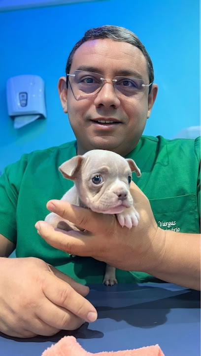 Ânimus ClinVet - Veterinário em Fortaleza - CE