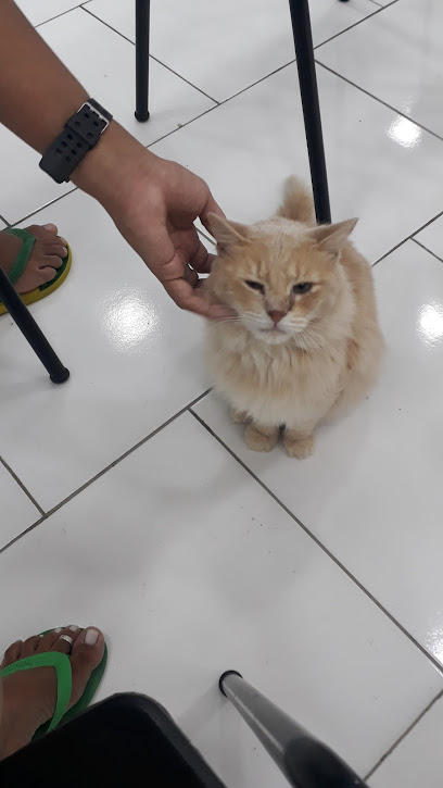 Apaixonados Por Quatro Patas Heliópolis - Veterinário em Belford Roxo - RJ