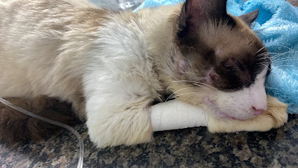 Arca de Cesar Clínica Veterinária em Maceió - AL