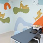 Imagem ilustrativa da empresa Aruanda Clínica Veterinária em São Luís - MA