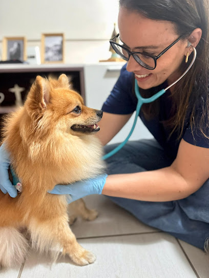 ATENDIPET - Atendimento Veterinário em Domicílio (M.V. Maria Luiza) em Maceió - AL