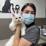 Imagem ilustrativa da empresa BastVet Centro Veterinário em Sorocaba - SP