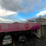 Imagem ilustrativa da empresa Bem Estar Animal - Veterinário em Campo Grande - MS