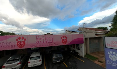 Bem Estar Animal - Veterinário em Campo Grande - MS