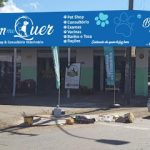Imagem ilustrativa da empresa Bem me Quer Pet Shop e Consultório Veterinário em Goiânia - GO