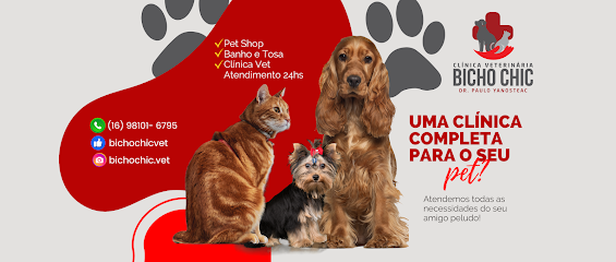 Bicho Chic - Clínica Veterinária 24h em Ribeirão Preto - SP