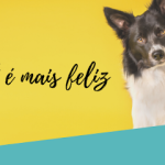 Imagem ilustrativa da empresa Bicho mais Feliz - Veterinário em Guarulhos - SP