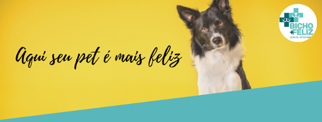 Bicho mais Feliz - Veterinário em Guarulhos - SP