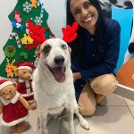 Imagem ilustrativa da empresa Bicho Manhoso Consultório Veterinário em Nova Iguaçu - RJ