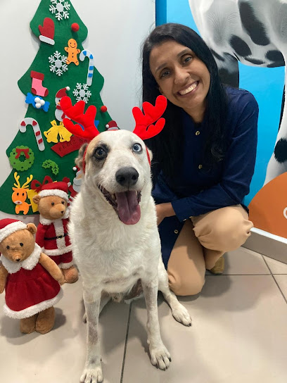 Bicho Manhoso Consultório Veterinário em Nova Iguaçu - RJ
