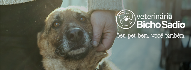 Bicho Sadio Veterinária em Duque de Caxias - RJ