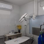 Imagem ilustrativa da empresa Bicho Solto Hospital Veterinário em Recife - PE