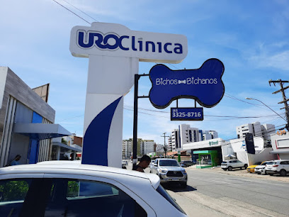 Bichos & Bichanos - Veterinário em Maceió - AL