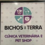 Imagem ilustrativa da empresa Bichos da Terra - Clínica Veterinária em Porto Alegre - RS