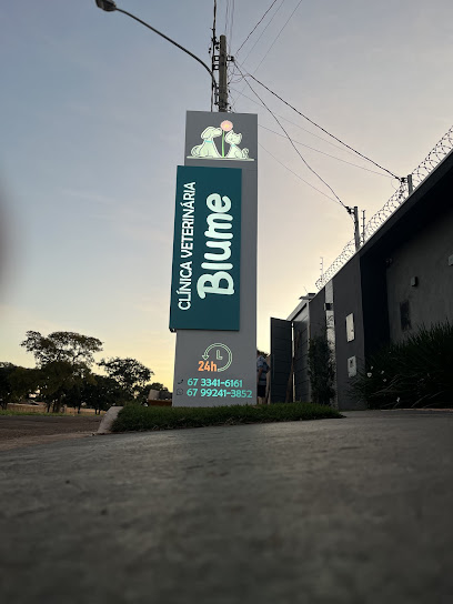 Blume Clínica Veterinária 24 Horas em Campo Grande - MS