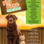 Imagem ilustrativa da empresa Bomprabicho - Veterinário em Recife - PE