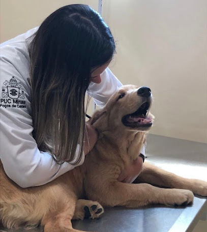 Britovet Clínica Veterinária 24h em Sumaré - SP