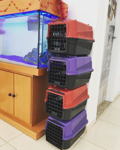 BSVet Medicina Animal - Veterinário em Sorocaba - SP