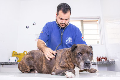 CÃES & GATOS Clínica Veterinária Sorocaba em Sorocaba - SP