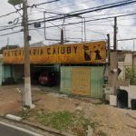 Imagem ilustrativa da empresa Caiuby - Clínica Veterinária em Campinas - SP
