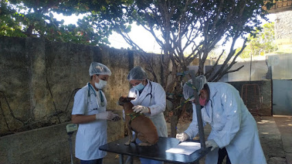 Cannys & Fellys Veterinária e Cursos em Goiânia - GO