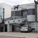 Imagem ilustrativa da empresa Cãoboy Hospital Veterinário em Sorocaba - SP